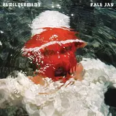 Konkurrent Pale Jay - Bewilderment (LP) (Coloured Vinyl)