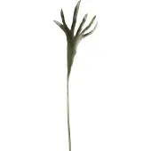 J-Line decoratie tak Hoorns - kunststof - mat groen - 12 stuks