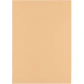Florence Cardstock Linnenkarton - Parchment (Beige) - Gekleurd Papier - A4 - 100 vellen - Textuur - 250 g
