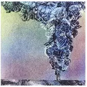 Konkurrent Daughn Gibson - Carnation (CD)
