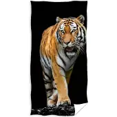 Animal Pictures Strandlaken, Tijger - 70 x 140 cm - Katoen