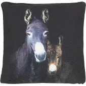 2lif Mars & More Ezels outdoor buitenkussen 50x50cm