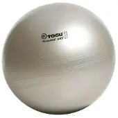 Togu Powerball ABS fitnessbal Zilver / L