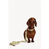 DOGGUO & Loavies Hondenriem DL-LEASH-GREEN-S