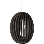 Blij Design Hanglamp Swan Ø 21 cm zwart
