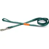 Beeztees BZ NY LEINE UNI DUNKELGRUEN 12