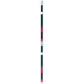 Bachmann IT PDU ALU 0HE 36x C13 12x geaard contact, vaste aansluiting 2x 3x 32A