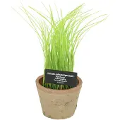 Esschert Design Kunstplant Bieslook H 27 Cm