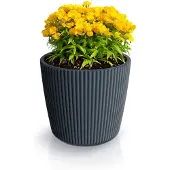 Prosperplast Plantenpot/bloempot Buckingham - kunststof - antraciet - 29 x 26 cm - Plantenpotten