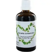 Therapeutenwinkel Uncaria tomentosa 100 ml