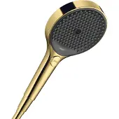 Hansgrohe Rainfinity - Handdouche 130, 3jet, kleur gouden look 26864990