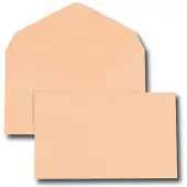 GPV France 2936 envelop Bruin 500 stuk(s)