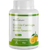 VitaSanum Garcinia Cambogia-extract (Malabar-tamarinde) 90 St