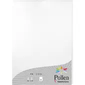 Pollen Papier