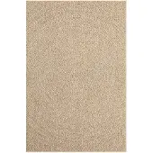 vidaXL Vloerkleed ZIZUR binnen en buiten 120x170 cm jute look