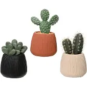 EDM Decoratieve plant EDM 808448 Cactus 14 cm