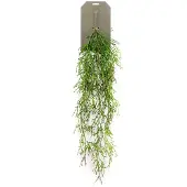 Driesprong Collection Zijdeplant Hangplant op steker Rhipsalis kunstplant