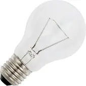 Schiefer E27 Gloeilamp | 25W 2700K 200lm 42V | Dimbaar