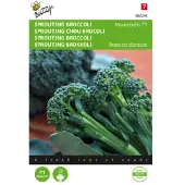 Buzzy Zaden sprouting broccoli montobello f1 20 zaden