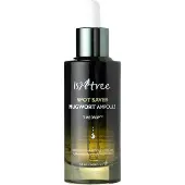 Isntree Spot Saver Mugwort Ampoule Hydraterend serum 50 ml