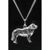 MOOYE ® - Collectie Zilveren New foundlander ketting hanger - groot