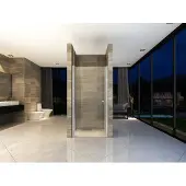 Aloni douchedeur/nisdeur voor douche, 100 cm, 6 mm, 97-101 x 1900 mm