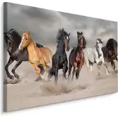 Karo-art Schilderij - Kudde wilde paarden, premium print, wanddecoratie
