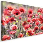 Karo-art Schilderij - Veld met Klaprozen , Wanddecoratie , Premium print