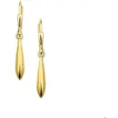 The Jewelry Collection Geelgouden Oorhangers brisur haak 4001429