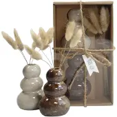 Coppens Giftset vaasje met droogbloemen naturel |