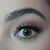 Dezzy's Ocean Brown Brown