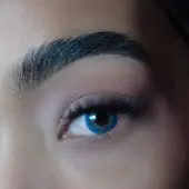 Dezzy's Wildcat Blue Blue