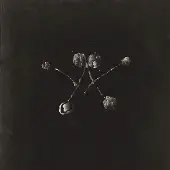 Konkurrent Waterstrider - Nowhere Now (LP)