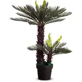 PaperFlow Kunst Palm Zycas Polyethyleen 210 x 210 x 800 mm Groen