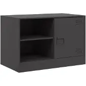 vidaXL Tv-meubel 67x39x44 cm staal zwart