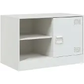vidaXL Tv-meubel 67x39x44 cm staal wit