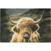 Mars & More deurmat schotse hooglander in wind 75x50cm