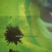 Konkurrent Eiafuawn - Birds In The Ground (CD)