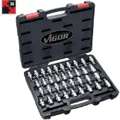 Vigor V2496, 36 stuks, Torx-schroeven