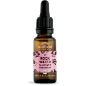 Biofloral Bachbloesems 27 Bronwater Bio 20 ml Druppels