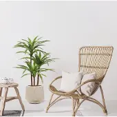 Maxifleur Kunstplanten Draceana Massangeana kunstplant Deluxe 95cm