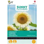 Buzzy - Sunny Flowers, Zonnebloem White Sun of Day