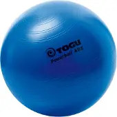 Togu Powerball ABS fitnessbal Zilver / S