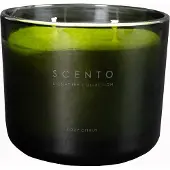 Scento - Signature Collection Fizyy Citrus Kleine Kaars