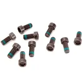 LuK Schroevenset, vliegwiel 411 0133 12 LUK voor o.a. AUDI, SKODA, VOLKSWAGEN