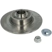 Delphi Remschijf BG9032RS achter, volledig, 1 Stuk