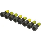 LuK Schroevenset, vliegwiel 411 0226 10 LUK voor o.a. BMW