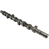 AE Nokkenas CAM736