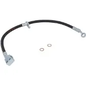 Delphi Remslang LH6491