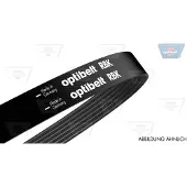 Optibelt 8 PK 1165 Multiriem